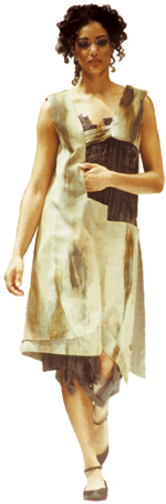 funny dress