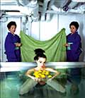 bjork-barney